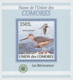 Sandpiper Bird Stamp Xenus Cinereus Mini Sov. Sheet MNH