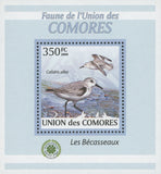 Sandpiper Bird Stamp Calidris Alba Birds Mini Sov. Sheet MNH