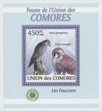 Falcons Stamp Peregrinus Newtoni Birds Mini Sov. Sheet MNH