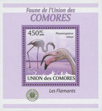 Flamingoes Stamp Bird Phoenicoreptus Minor Mini Sov. Sheet MNH