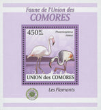 Flamingoes Stamp Bird Phoenicoreptus Roseus White Mini Sov. Sheet MNH