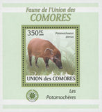 Bushpigs Pig Stamp Potamochoerus Porcus Grass Mini Sov. Sheet MNH