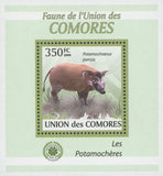 Pig Stamp Bushpigs Potamochoerus Porcus Mini Sov. Sheet MNH