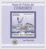 Terns Stamp Sterna Sumatrana Birds Mini Sov. Sheet MNH