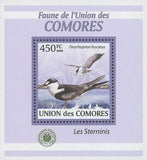 Terns Stamp Onychoprion Fuscatus Birds Mini Sov. Sheet MNH