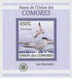 Terns Stamp Sterna Caspia Birds Mini Sov. Sheet MNH