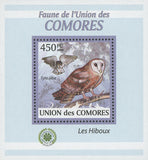 Owls Bird Stamp Tyto Alba Birds Fly Mini Sov. Sheet MNH