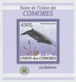 Whales Stamp Marine Life Mesoplodon Grayi Mini Sov. Sheet MNH