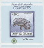 Turtles Chelus Fimbriatus Mini Sov. Sheet MNH