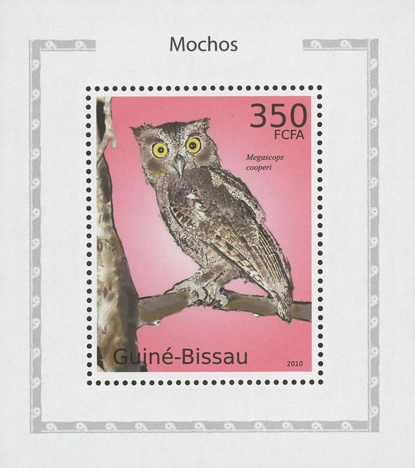 Owls Megascopus Cooperi Birds Mini Sov. Sheet MNH
