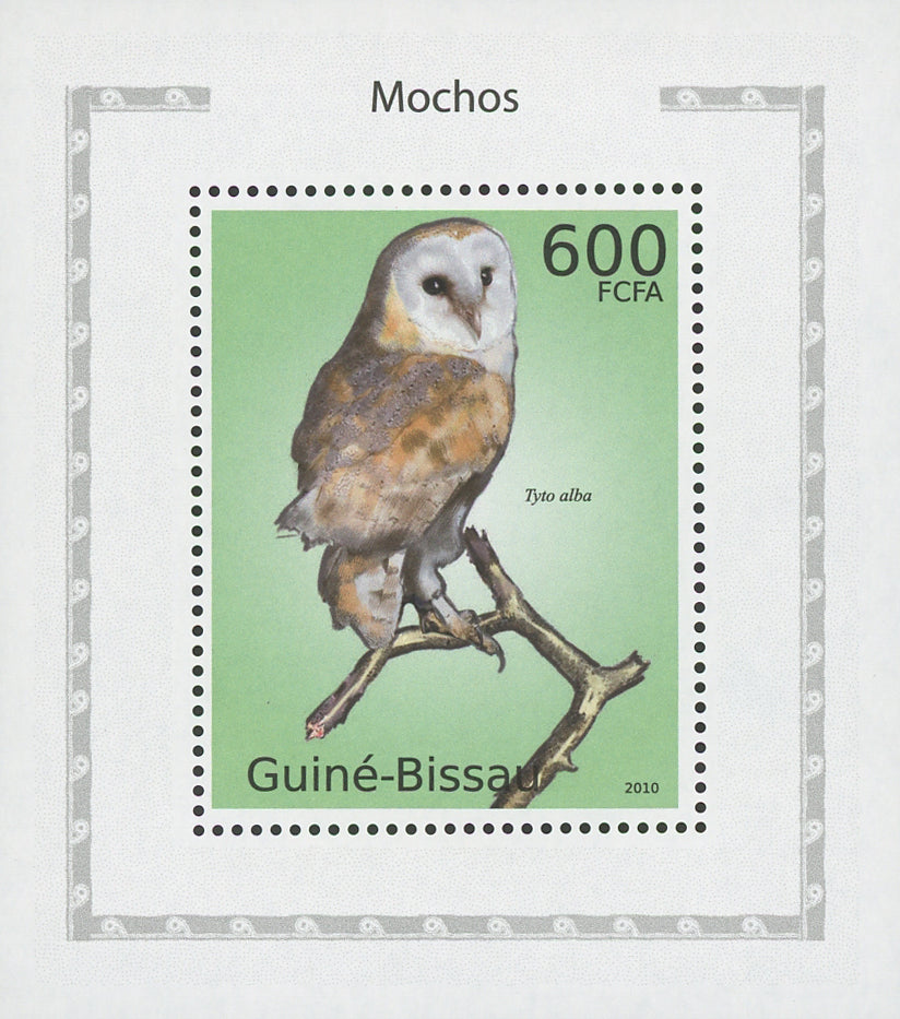 Owls Tyto Alba Birds Mini Sov. Sheet MNH
