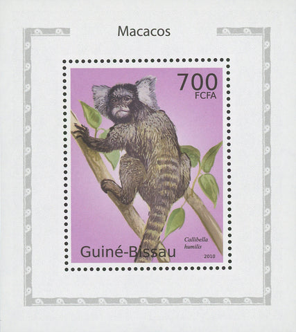 Macaque Callibella Humilis Monkey Mini Sov. Sheet MNH