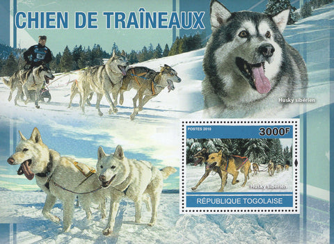 Husky Stamp Siberian Sled Dog Snow Animal Pet Souvenir Sheet MNH