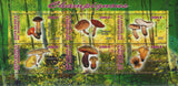 Mushrooms Nature Souvenir Sheet  of 6 Stamps Mint NH
