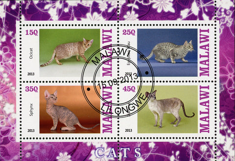 Malawi Cat Domestic Animal Ocicat Sphynx Souvenir Sheet of 4 Stamps