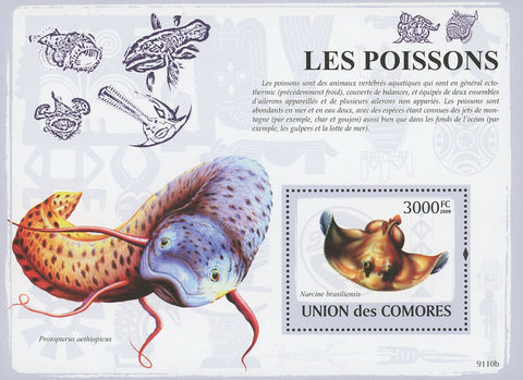 Fish Marine Life Protopterus Aethiopicus Stamp Souvenir Sheet Mint NH MNH