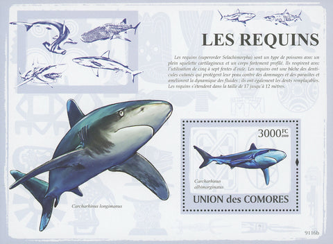 Comoros Sharks Fish Ocean Fauna Marine Souvenir Sheet Mint NH