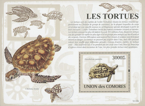 Comoros Turtle Chelonia Mydas Reptile Souvenir Sheet Mint NH