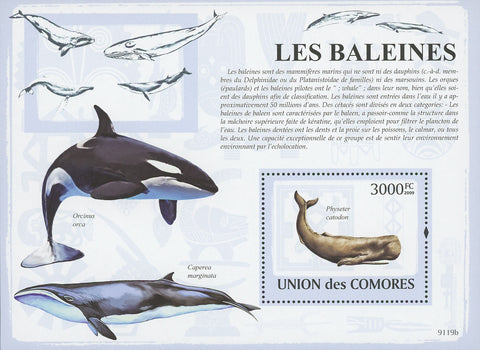 Whale Ocean Marine Orcinus Orca Stamp Souvenir Sheet Mint NH