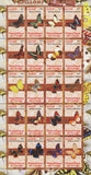 Congo Butterflies of the World Exotic Souvenir Sheet of 20 Stamps Mint NH