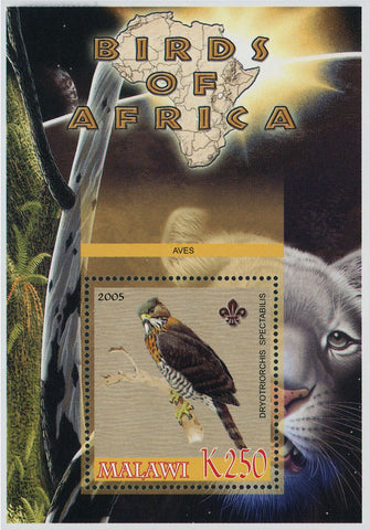 Malawi Birds of Africa Driotriorchis Spectabilis Moon Panther Souvenir Sheet MNH