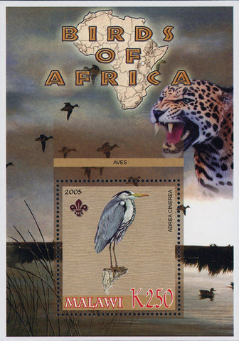 Malawi Birds of Africa Adrea Cinerea Panther Souvenir Sheet Mint NH