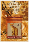 Malawi Animals of Africa Mammals Profeus Aurata Cats Souvenir Sheet Mint NH