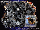 African Nature Minerals Birds Souvenir Sheet Mint NH