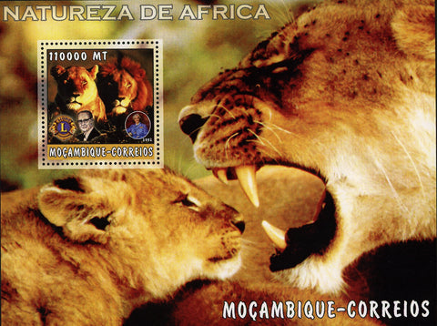 African Nature Lion Wild Animal Fauna Souvenir Sheet Mint NH