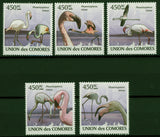 Flamingoes Phoenicoreptus Minor Lake Fly Serie Set of 5 Stamps Mint NH