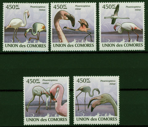 Flamingoes Phoenicoreptus Minor Lake Fly Serie Set of 5 Stamps Mint NH
