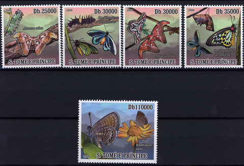 Butterfly Insect Caterpillar Branch Serie Set of 5 Stamps MNH