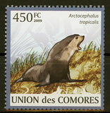 Fauna Subantarctic Fur Seal Arctocephalus Tropicalis Individual Stamp Mi