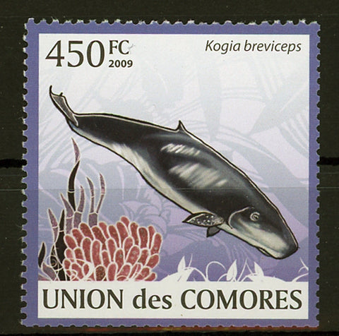 Whale Kogia Breviceps Marine Fauna Individual Stamp Mint NH