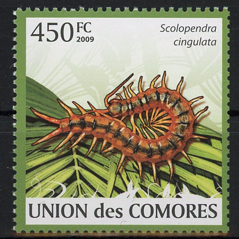 Fauna Scolopendra Centipedes Insect Individual Stamp Mint NH