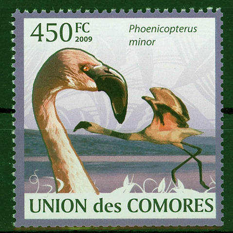 Flamingo Phoenicoreptus Minor Individual Stamp Mint NH