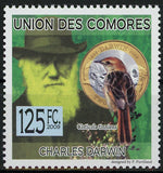 Charles Darwin Cisticola Tinniens Bird Individual Stamp Mint NH