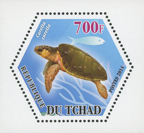 Turtle Marine Fauna Caretta Caretta Mini Souvenir Sheet Mint NH