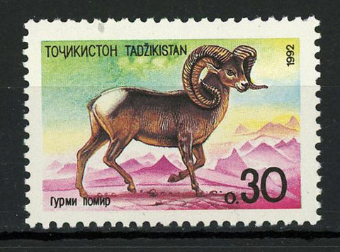 Tajikistan Art Wild Animal Painting Individual Stamp MNH