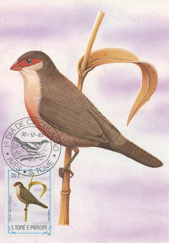 First Day Cover Bird Quebla-canan Estrilda Astrild Angolensis