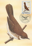 First Day Cover Bird Olho Grosso Horizorhinus Dohrni