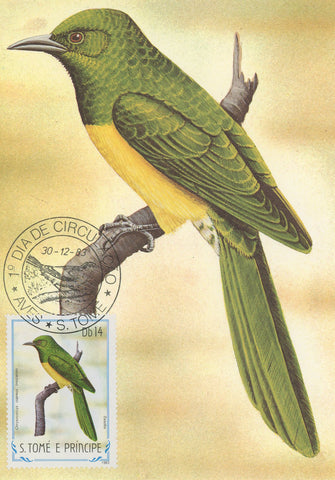 First Day Cover Postcard Bird Ossobo Chrysochoccyx Cupreus Insularum 1983