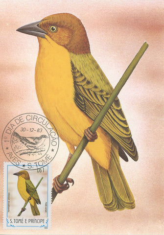 First Day Cover Postcard Bird Pade Campo Xanthophilus Princeps 1983