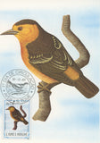 First Day Cover Postcard Bird Tchintchinxolo Thomasophantes Sanctithomae 1983