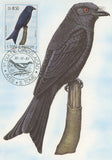 First Day Cover Postcard Bird Tome-gaga Dicrurus Modestus 1983