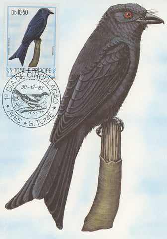 First Day Cover Postcard Bird Tome-gaga Dicrurus Modestus 1983