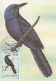 First Day Cover Postcard Bird Pastro Onychognatus Fulgidus 1983