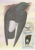First Day Cover Postcard Bird Andorinha Chaetura Thomensis 1983