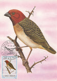 First Day Cover Postcard Bird Gungu Quelea Erythrops 1983