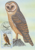 First Day Cover Postcard Bird Coruja Tyto Alba Thomensis 1983